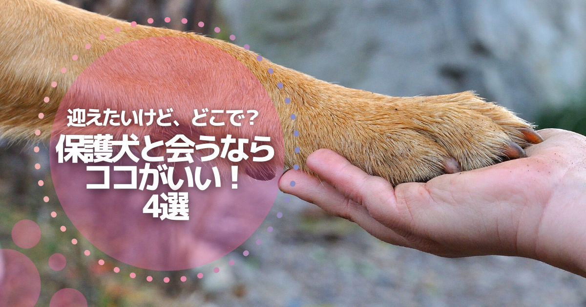 f:id:matome_page:20210621212913p:plain