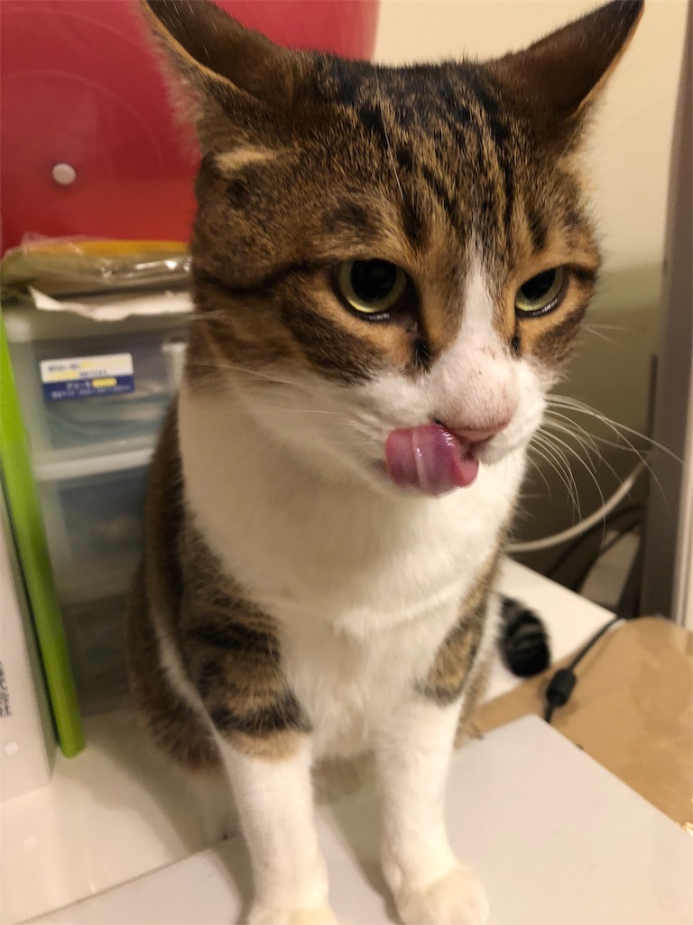 f:id:matsu-fermat:20190103223555j:image