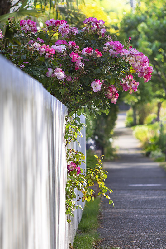 f:id:matsu2012:20190630222609j:plain