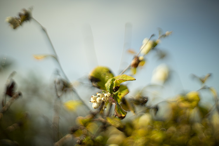 f:id:matsu2012:20191006072809j:plain