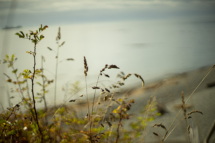 f:id:matsu2012:20191006072912j:plain