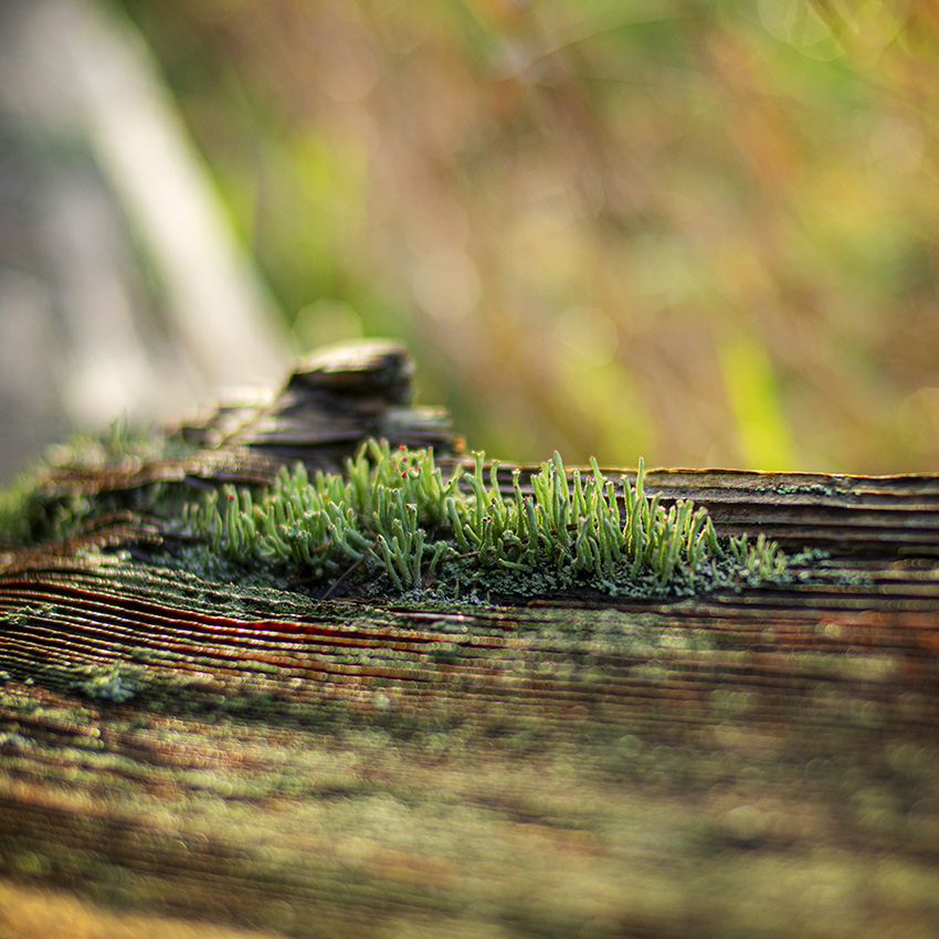 f:id:matsu2012:20200129230006j:plain