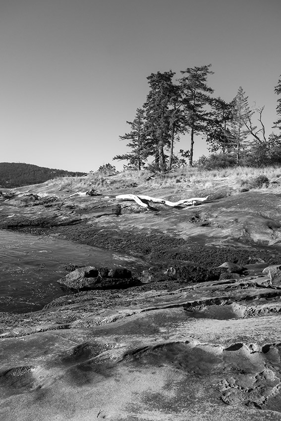 f:id:matsu2012:20200729061133j:plain