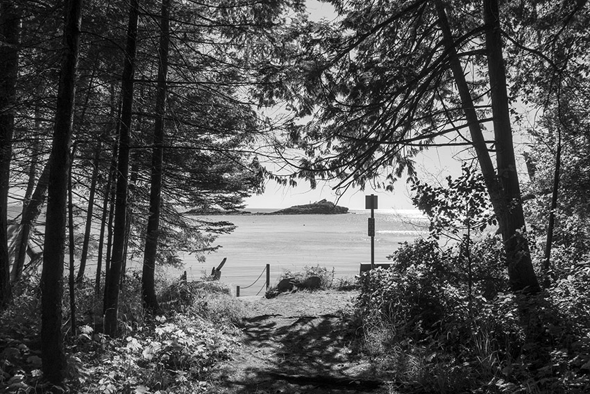 f:id:matsu2012:20200729061228j:plain