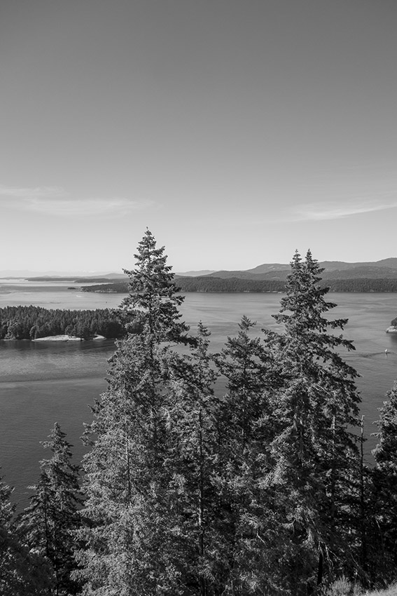 f:id:matsu2012:20200729061250j:plain