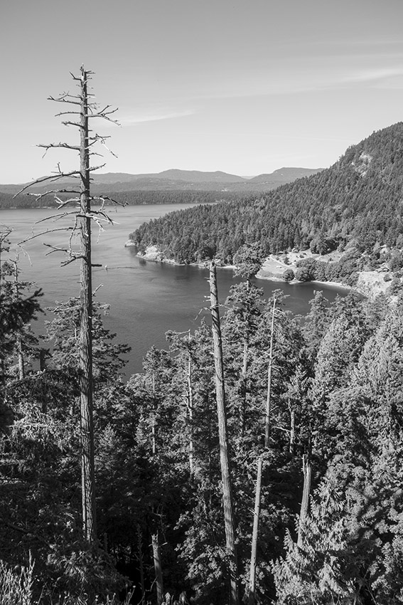 f:id:matsu2012:20200729061306j:plain