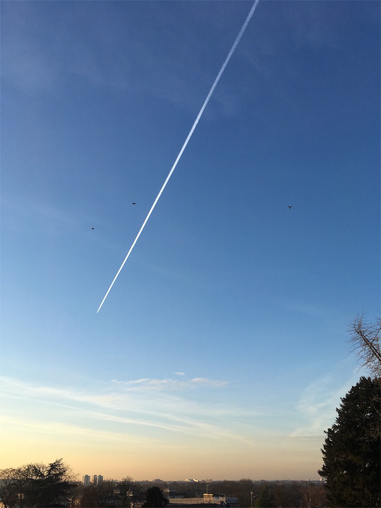 f:id:matsu2016:20170118061327j:image