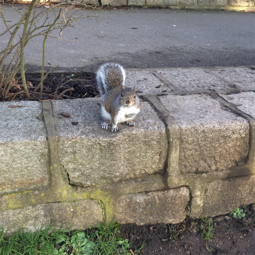 f:id:matsu2016:20170120062715j:image