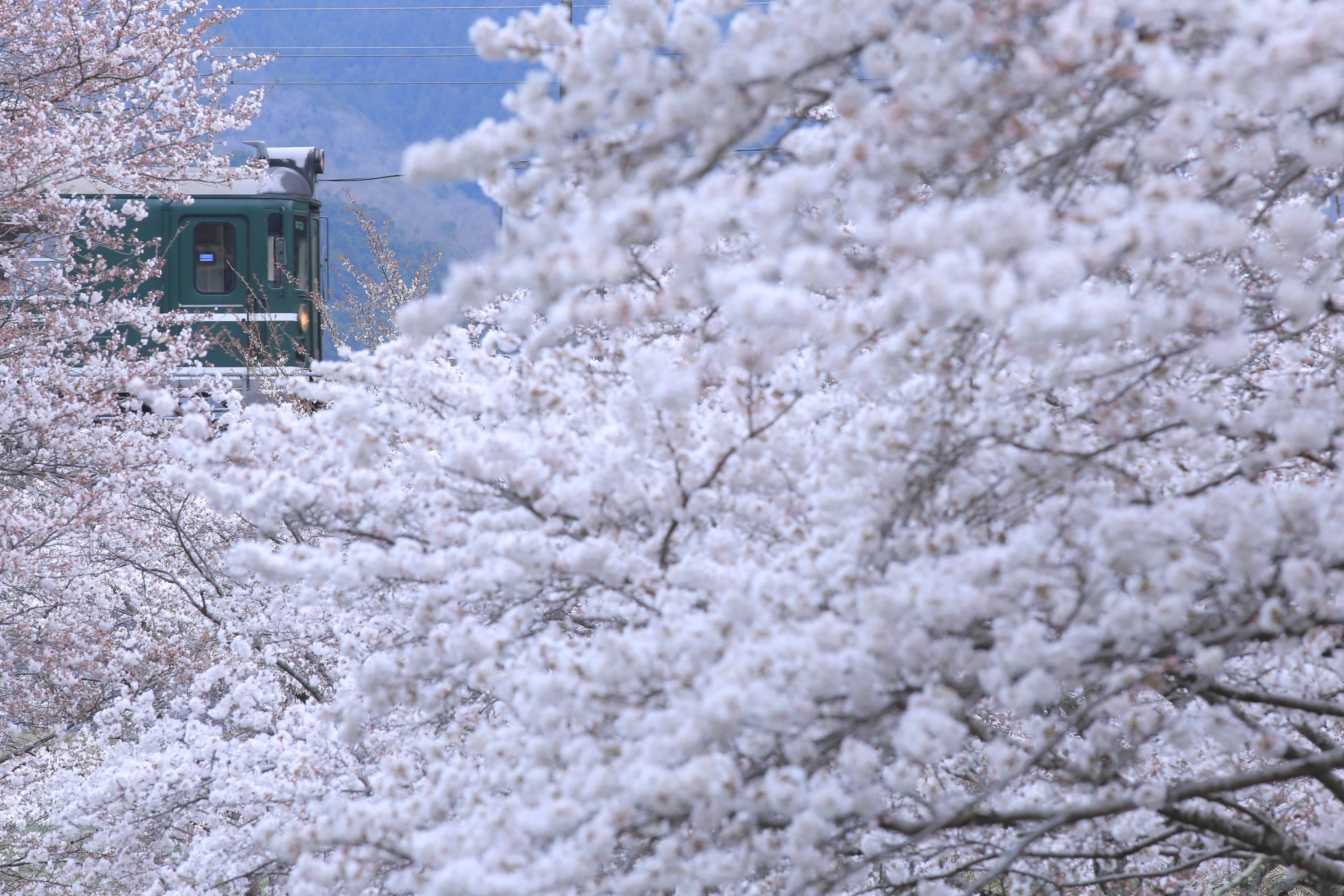 f:id:matsu_2151:20220403200803j:image