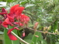 20091115094912