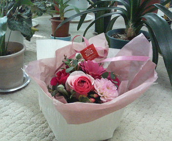 f:id:matsuba77:20110401084213j:image
