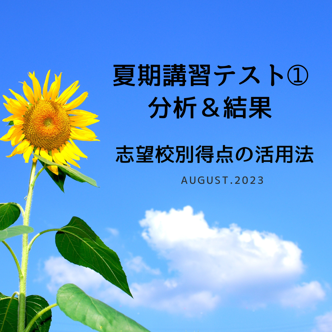日能研　夏期講習　6年　テスト4回分　2022年度　アンサーガイド　平均点正答率 日能研 夏期講習 6年 テスト4回分 2022年度 アンサーガイド 平均