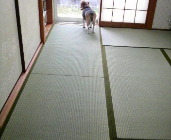 イグサ畳を新調 ついでにpcデスクを撤去 模様替えして素敵和室に仕上げたい 家好きが 理想の家をめざし続けるブログ