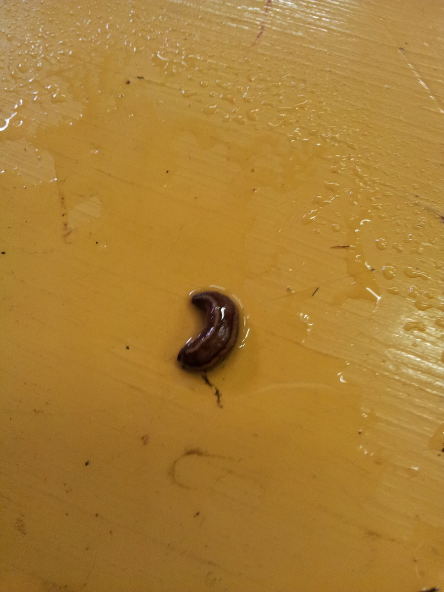 f:id:matsudama:20190630105406j:plain f:id:matsudama:20190630105406j:plain