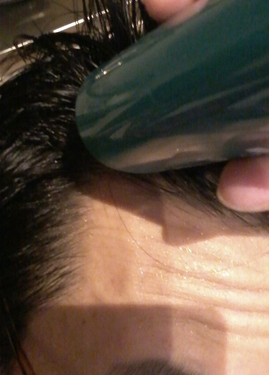 f:id:matsudama:20210414100724j:plain