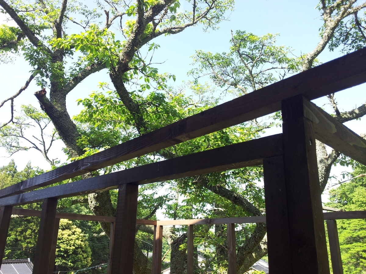 f:id:matsudama:20210520100155j:plain