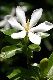 f:id:matsuedo:20200201190705j:plain f:id:matsuedo:20200201190705j:plain