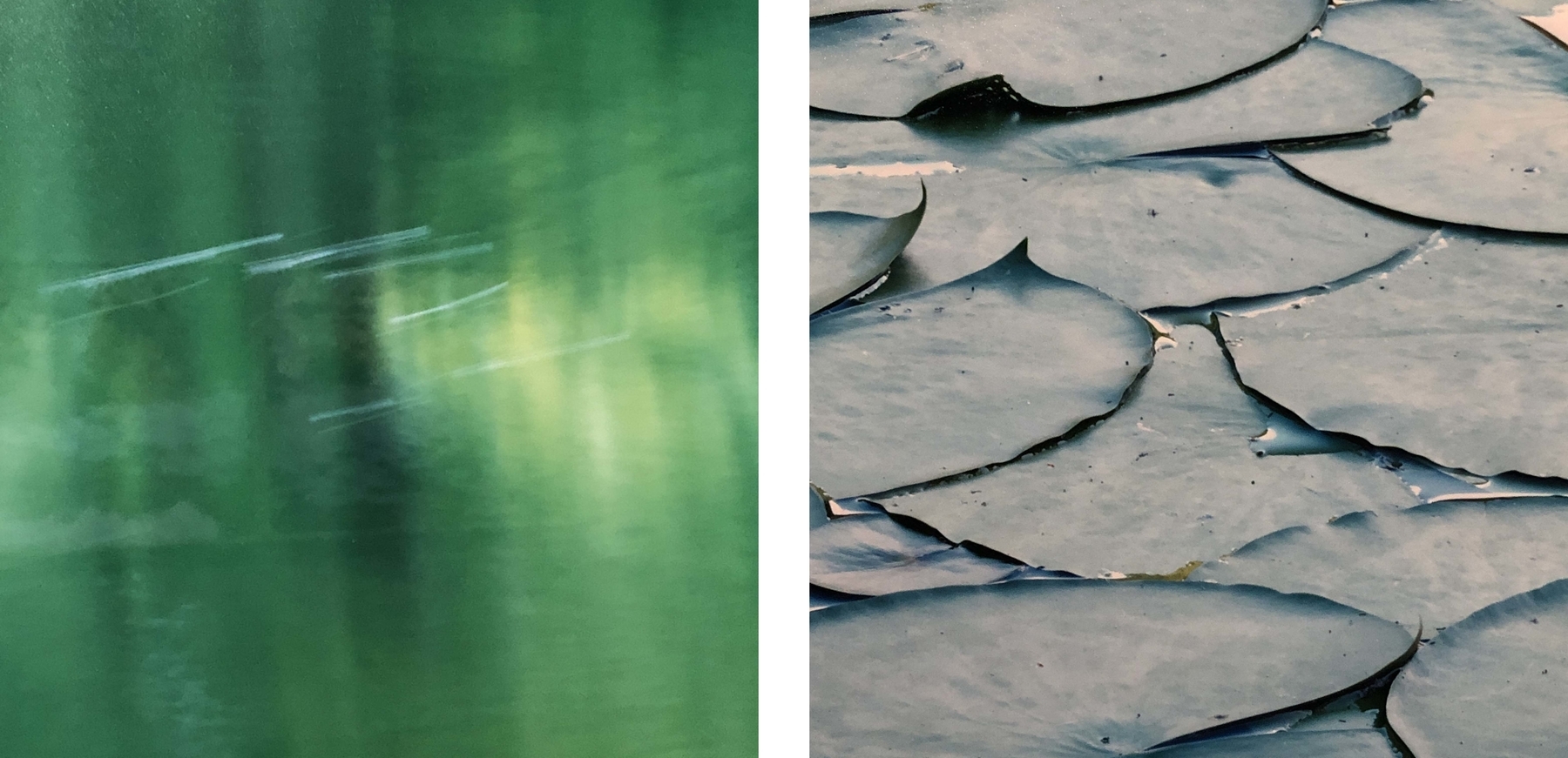 モネと写真。鈴木理策の《水鏡》 - マツフサコ モネと写真。鈴木理策の《水鏡》 - マツフサコ