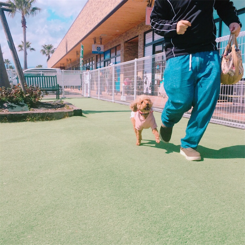 f:id:matsugorookoku:20190423092632j:image