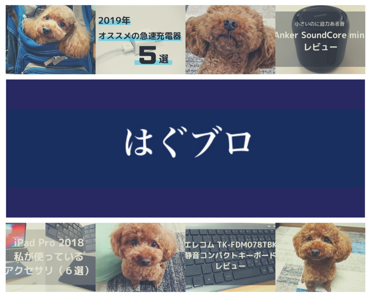 f:id:matsugorookoku:20190522003911p:plain