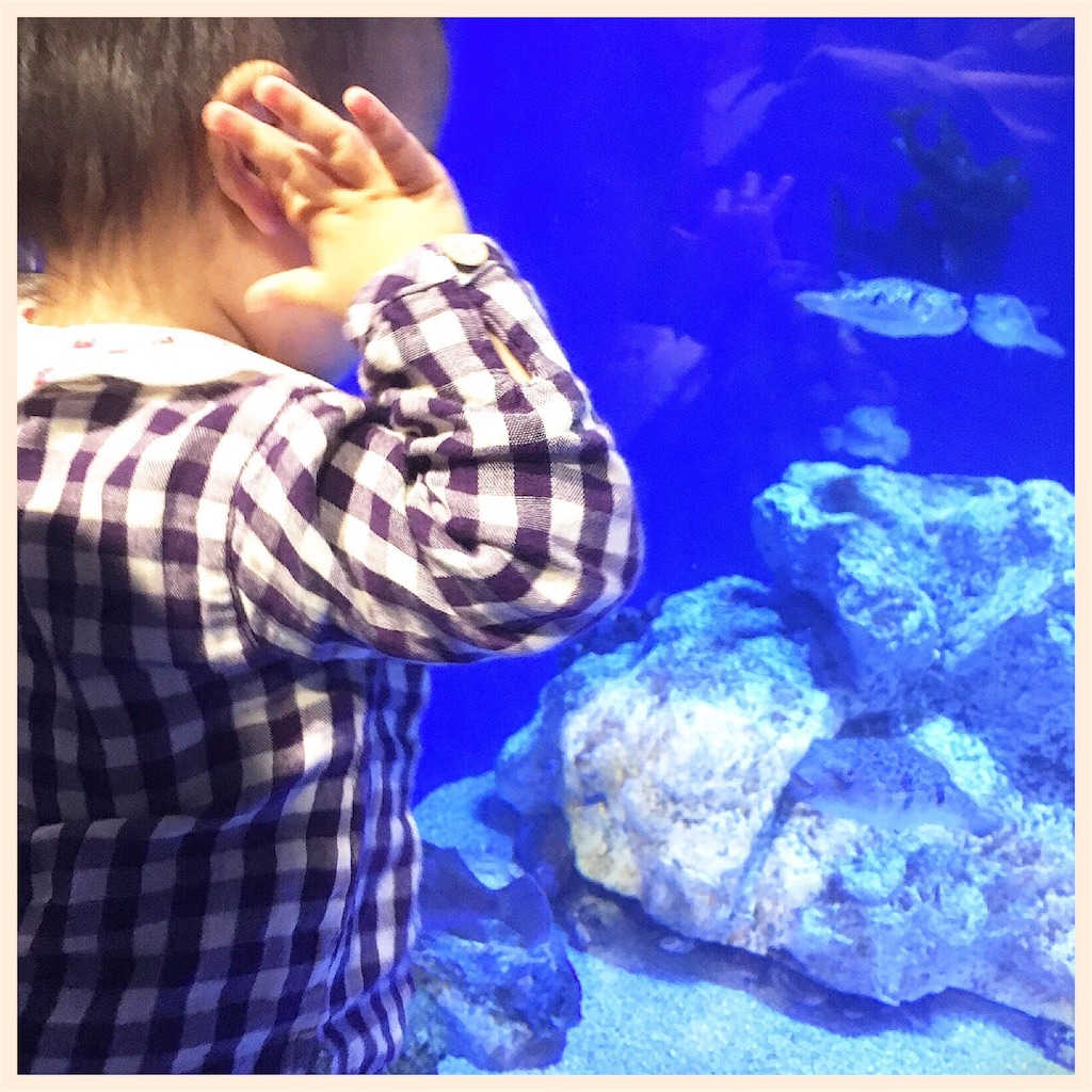 f:id:matsuir:20180515155441j:image f:id:matsuir:20180515155441j:image
