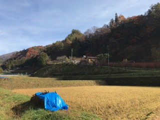 f:id:matsuken1212:20161121112720j:plain f:id:matsuken1212:20161121112720j:plain