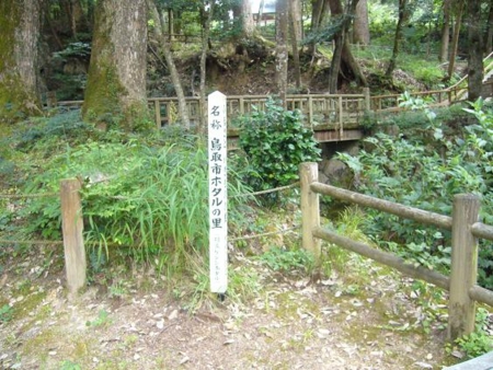 f:id:matsukento:20110805141637j:image f:id:matsukento:20110805141637j:image