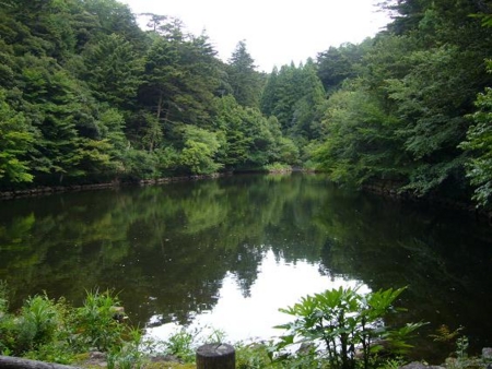 f:id:matsukento:20110805141803j:image f:id:matsukento:20110805141803j:image