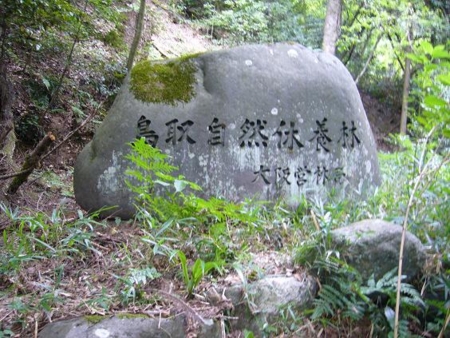 f:id:matsukento:20110805142119j:image f:id:matsukento:20110805142119j:image