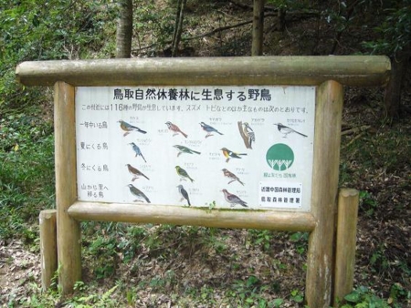 f:id:matsukento:20110805142203j:image f:id:matsukento:20110805142203j:image