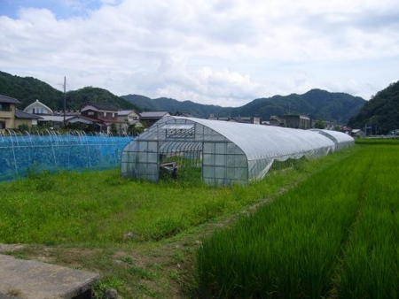 f:id:matsukento:20110806131848j:image f:id:matsukento:20110806131848j:image