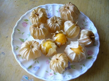 f:id:matsukento:20110810134042j:image