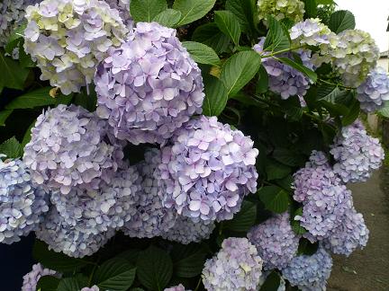 f:id:matsukento:20120623093836j:image