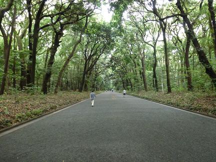 f:id:matsukento:20120623095807j:image