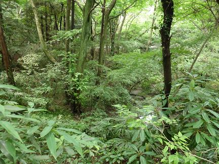 f:id:matsukento:20120623110813j:image