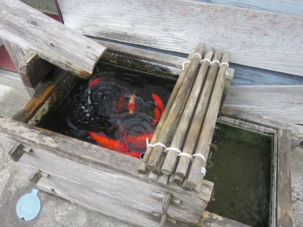 f:id:matsukento:20210702130034j:plain