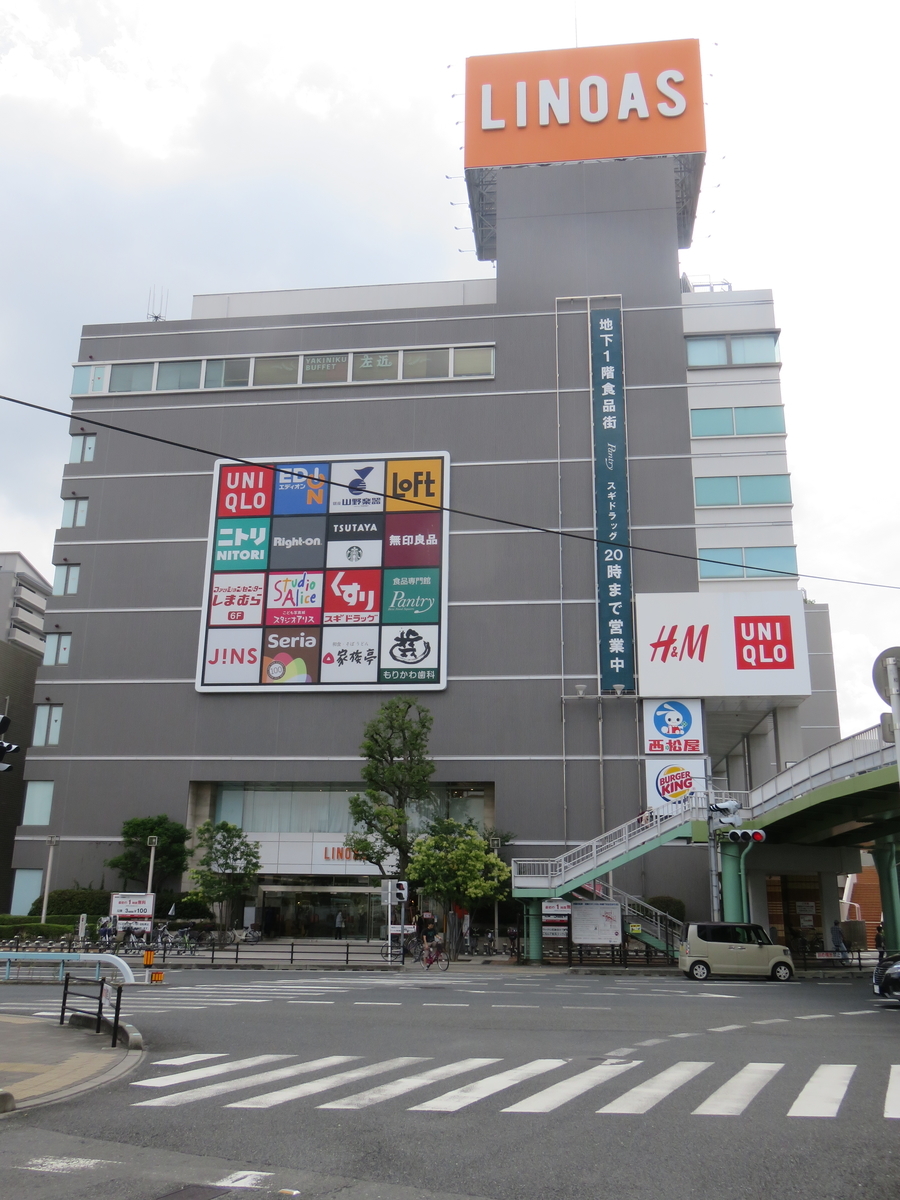 ソルビダ グレインフリー チキン チキン 室内飼育7歳以上用 犬用品 ドッグフード 3 6kg ペットゴー 3号館 店