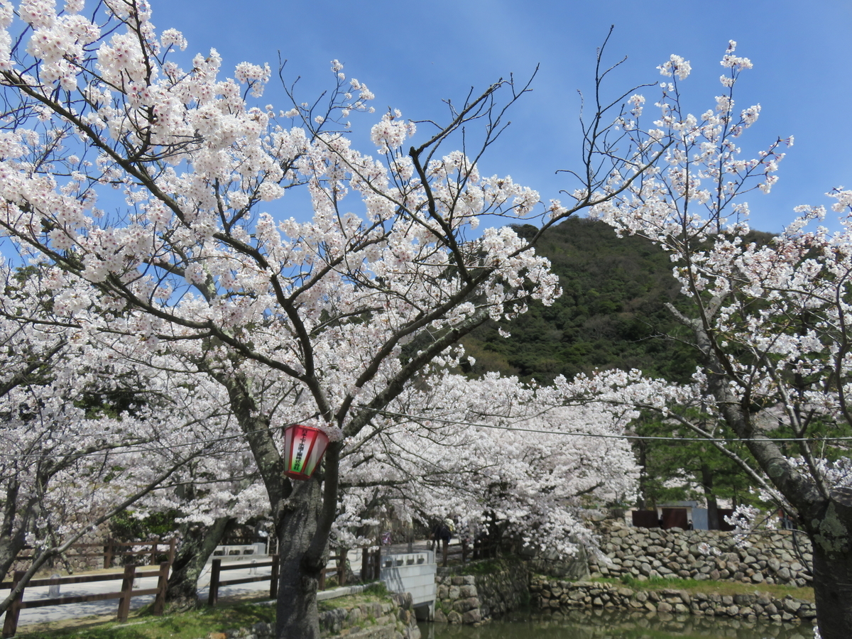 f:id:matsukento:20220405120435j:plain