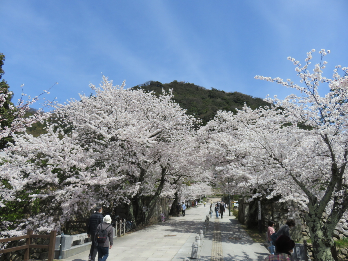 f:id:matsukento:20220405120501j:plain