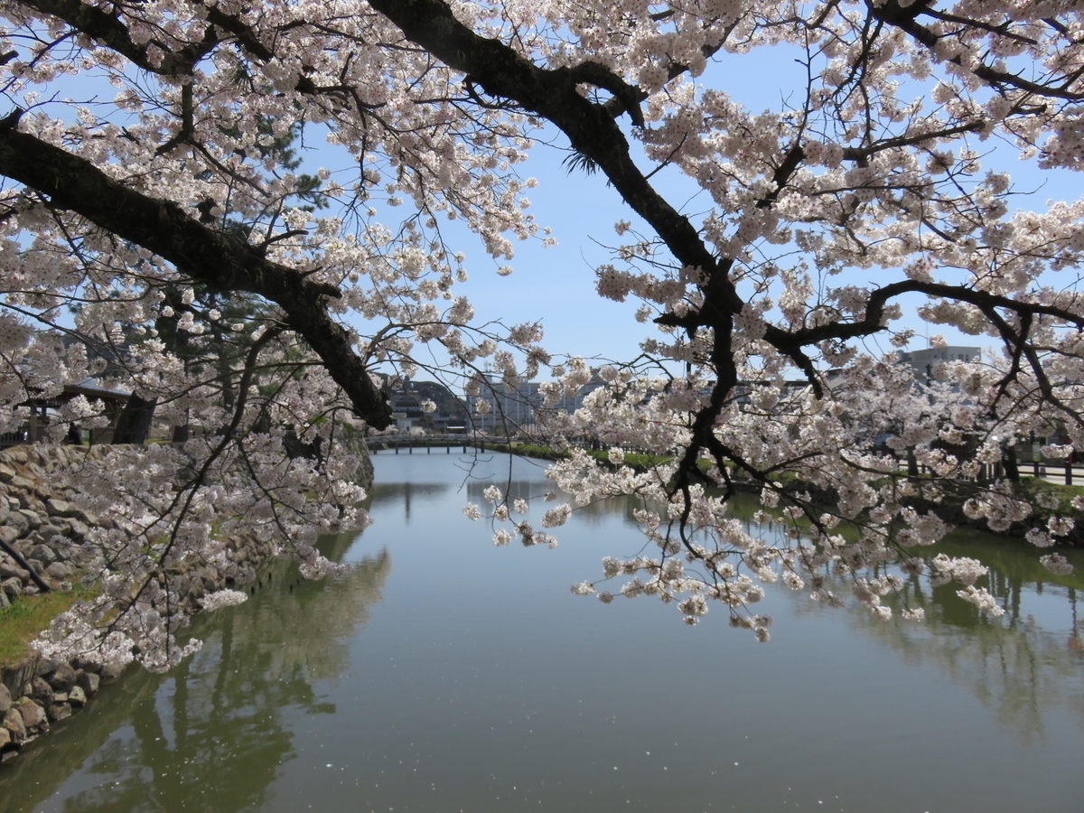 f:id:matsukento:20220405120527j:plain