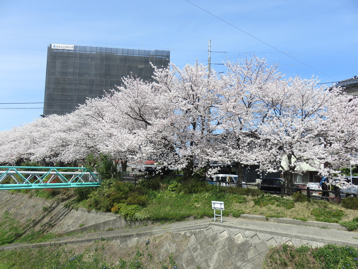 f:id:matsukento:20220405123127j:plain