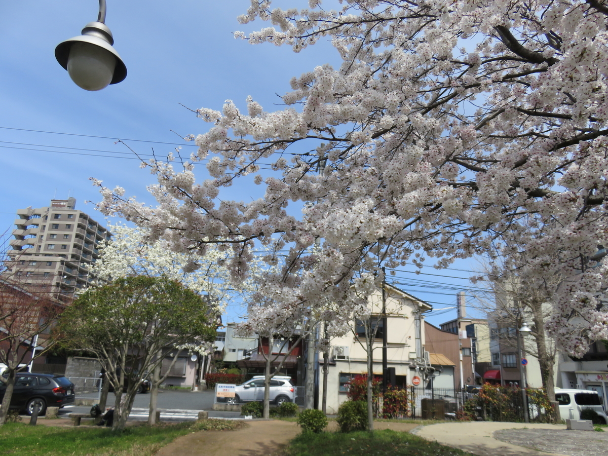 f:id:matsukento:20220405124313j:plain