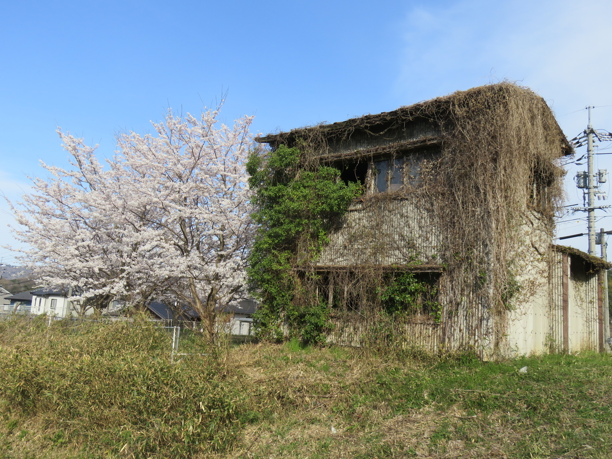 f:id:matsukento:20220405154138j:plain