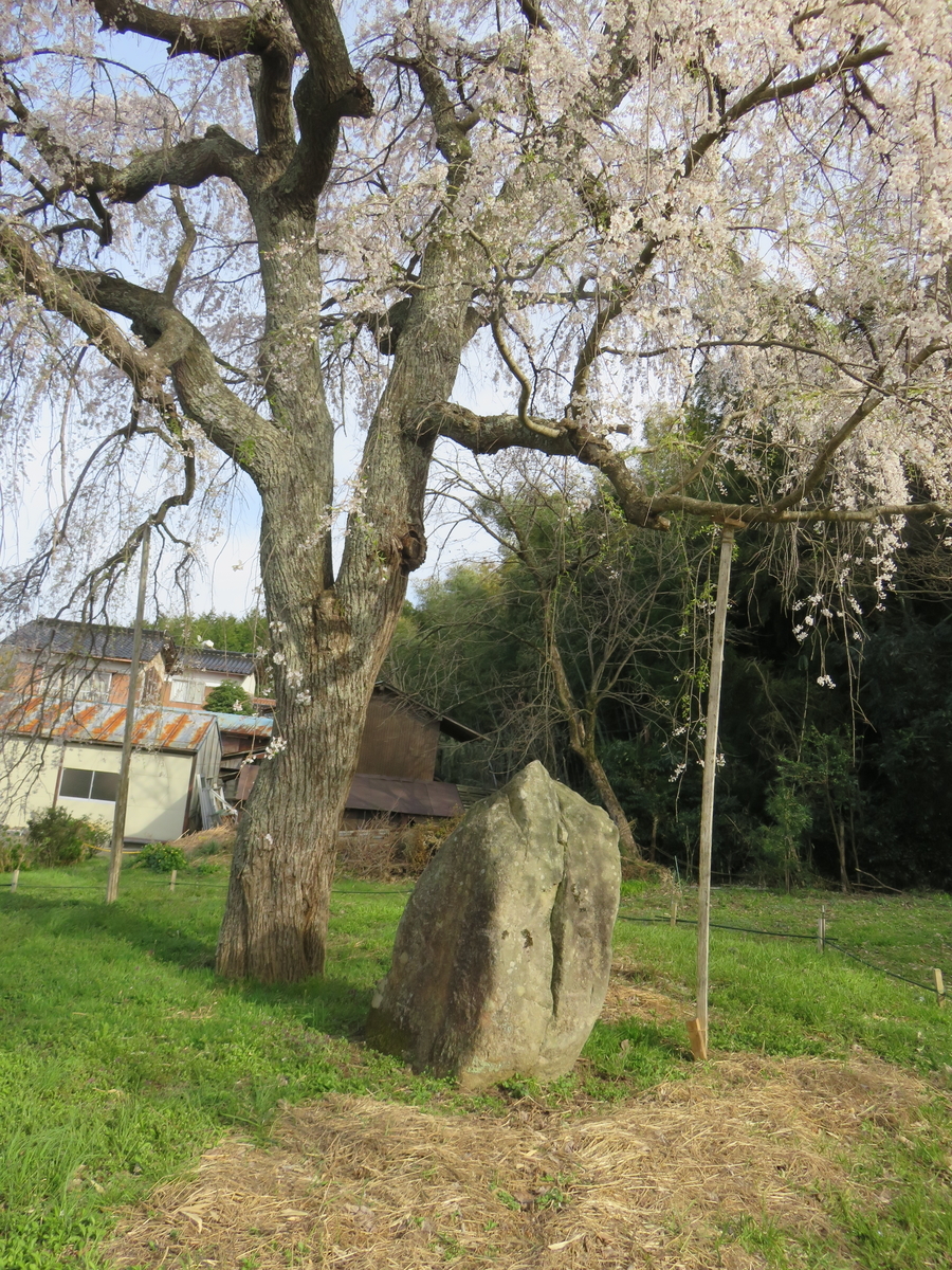 f:id:matsukento:20220405155220j:plain