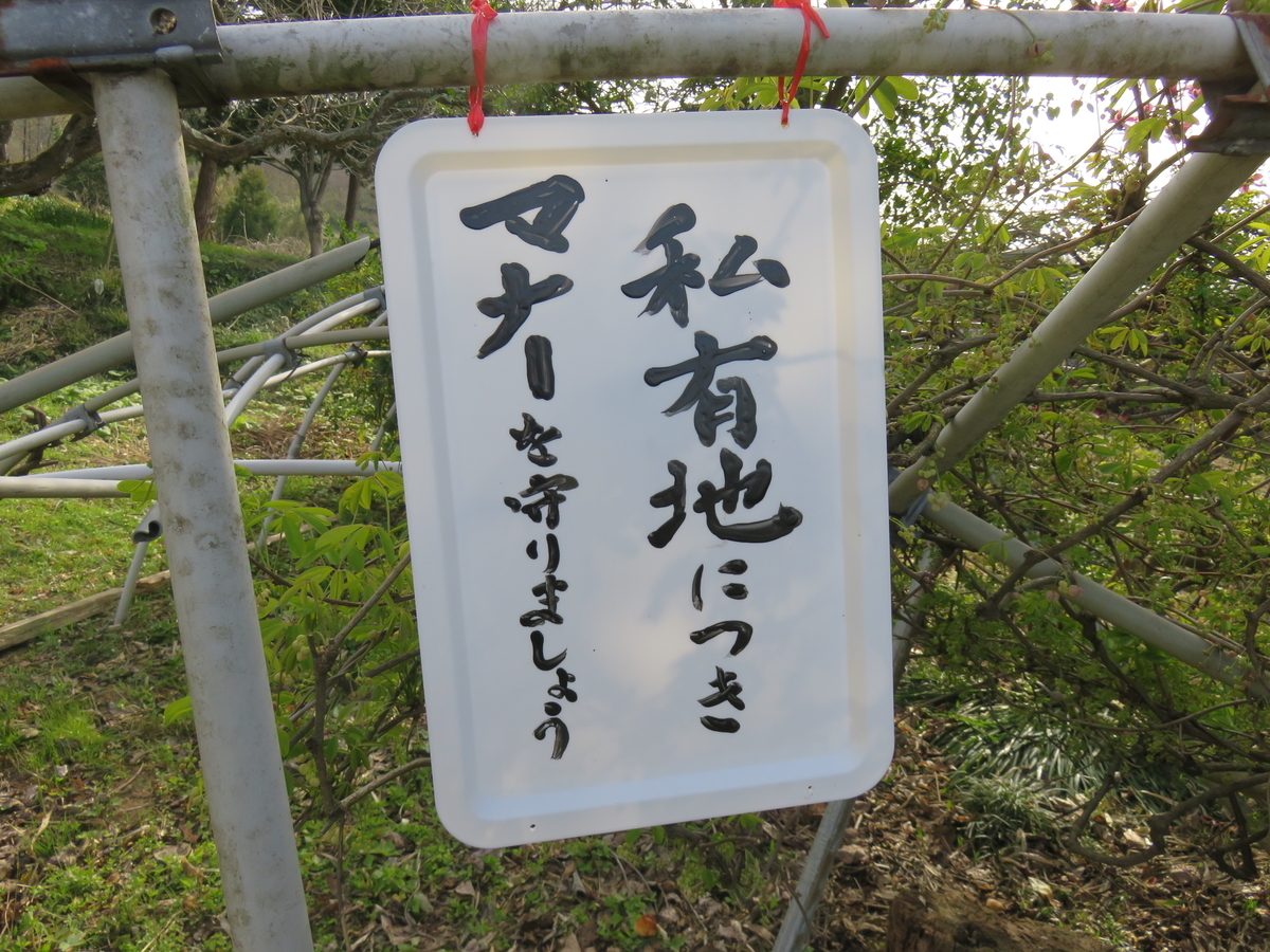 f:id:matsukento:20220405155230j:plain