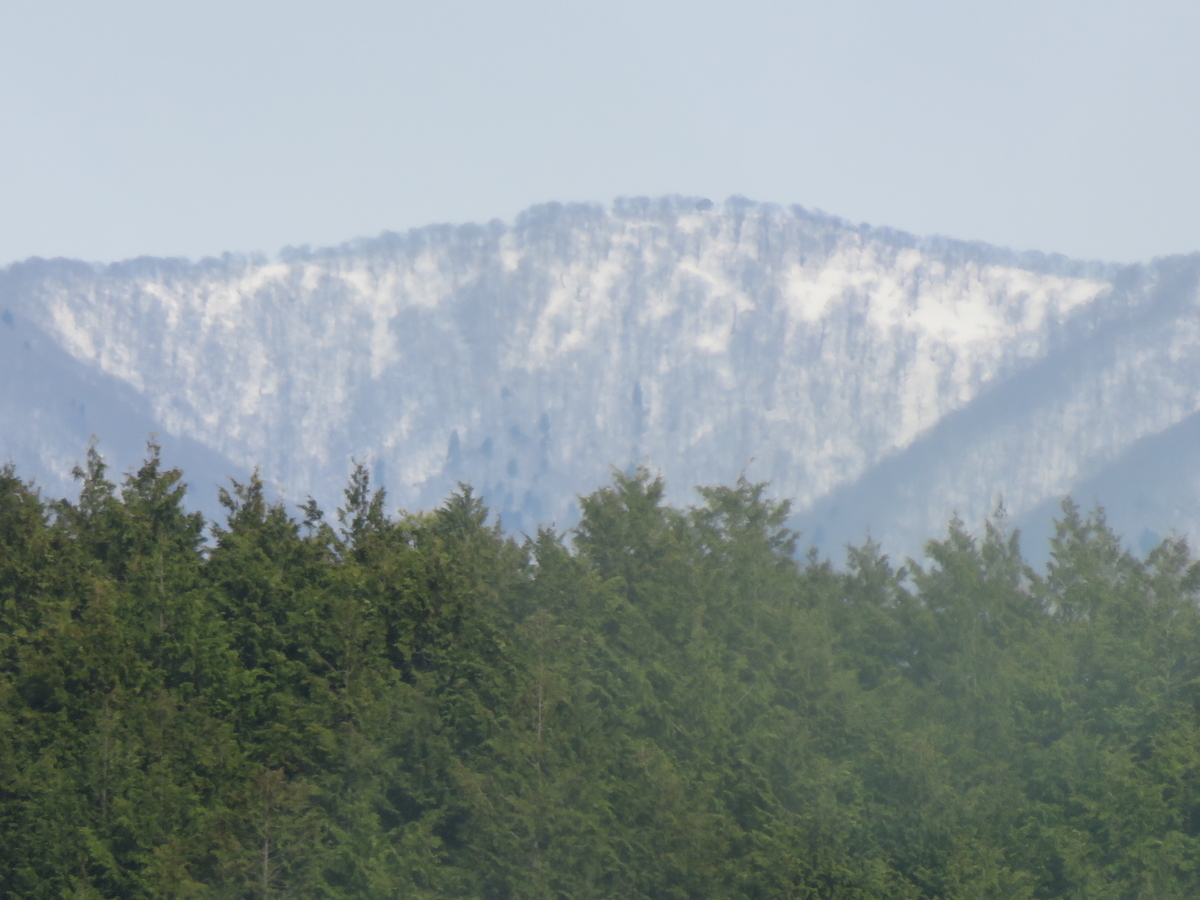 f:id:matsukento:20220405160123j:plain