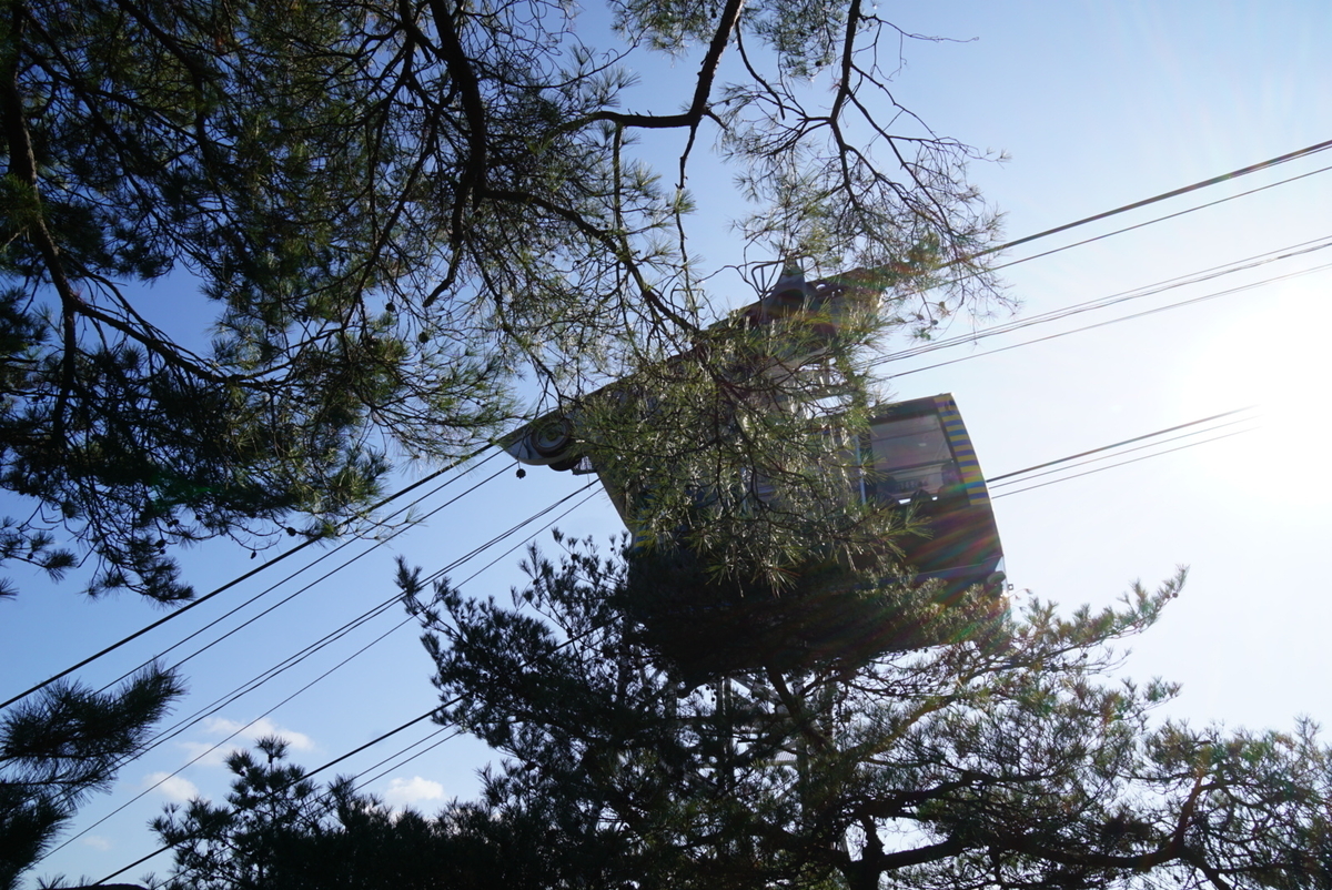 f:id:matsuko-555:20200129220203j:plain f:id:matsuko-555:20200129220203j:plain