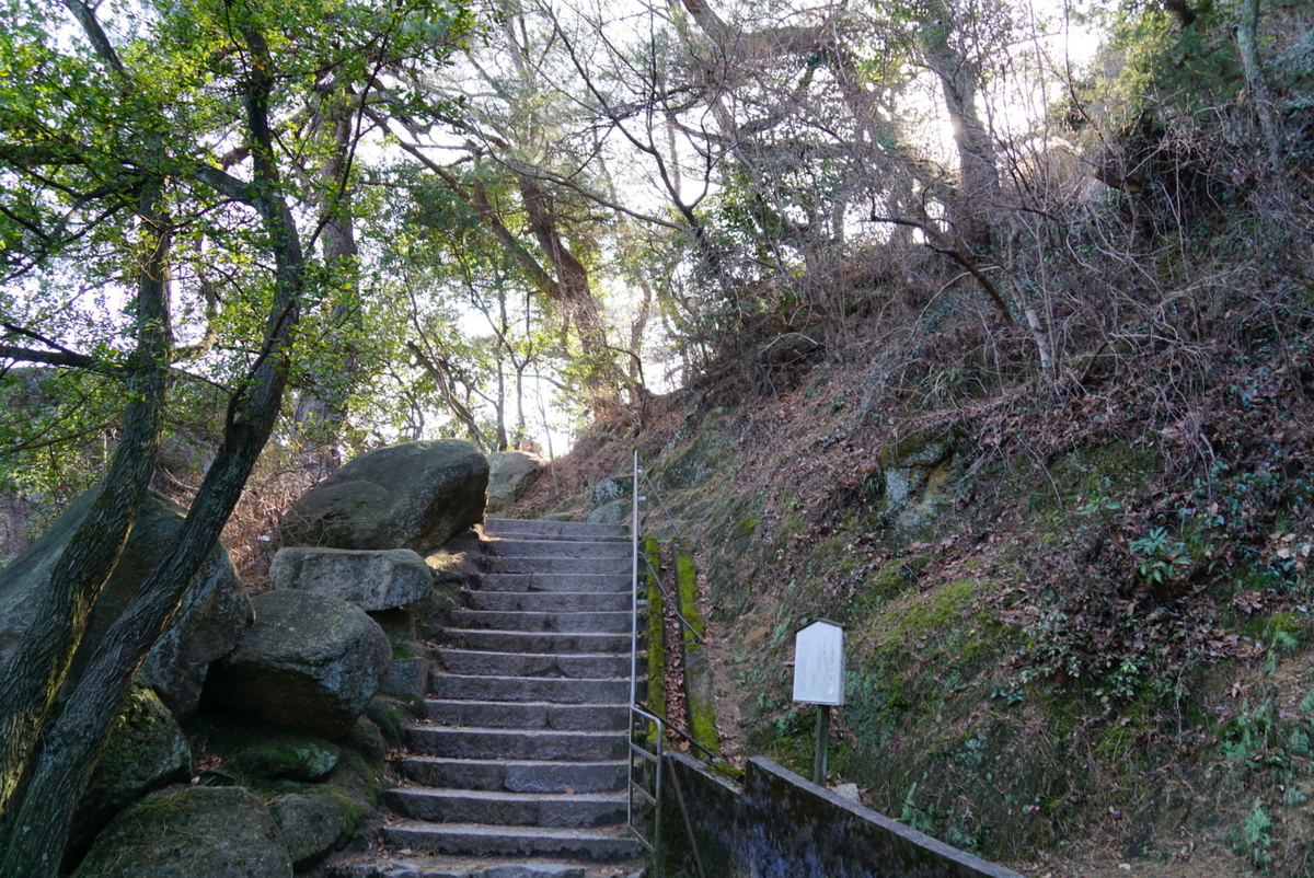 f:id:matsuko-555:20200129220559j:plain f:id:matsuko-555:20200129220559j:plain