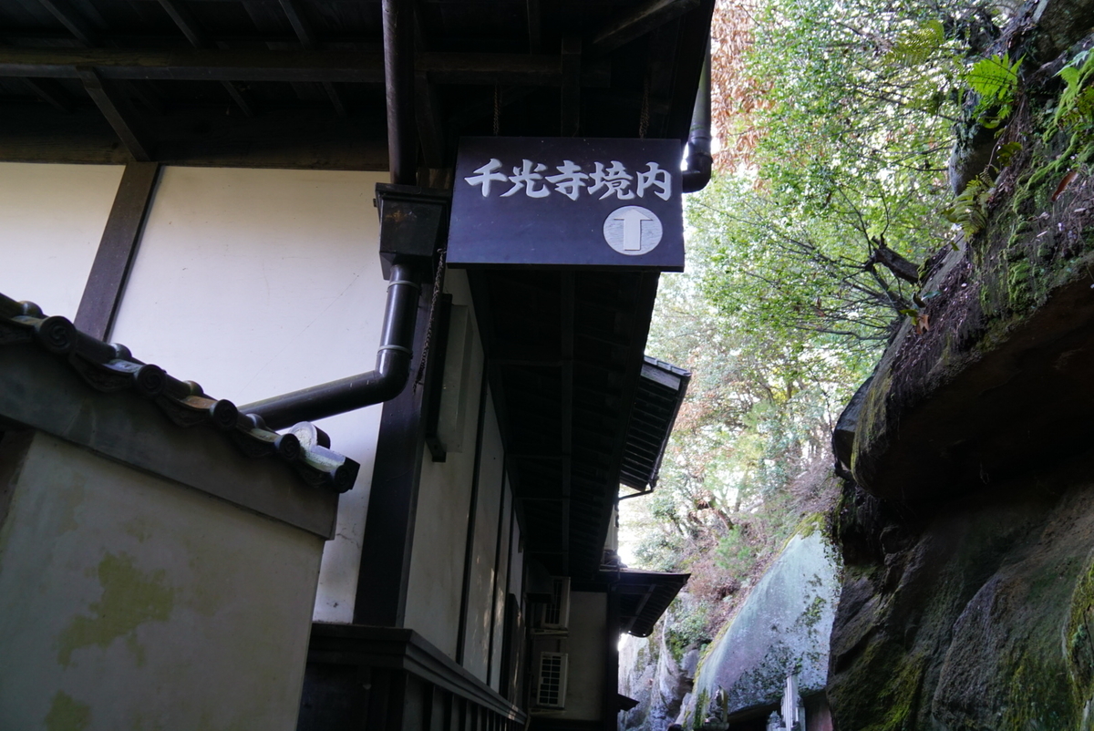 f:id:matsuko-555:20200129220840j:plain f:id:matsuko-555:20200129220840j:plain