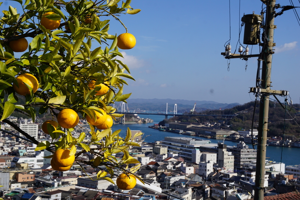 f:id:matsuko-555:20200129221837j:plain f:id:matsuko-555:20200129221837j:plain